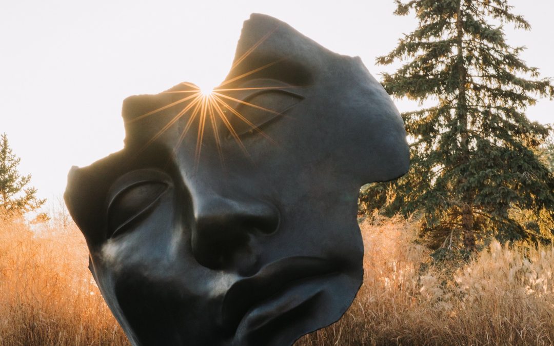 Experience the Magic of Frederik Meijer Gardens & Sculpture Park All Year Round