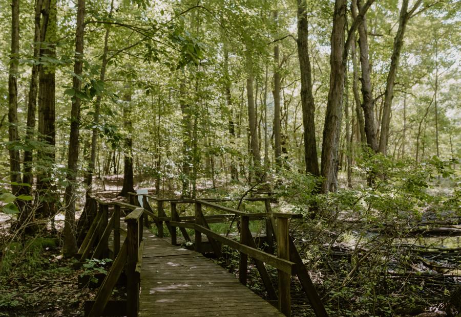 Learn and Explore: Engage with Nature through Educational Programs at Blandford Nature Center.