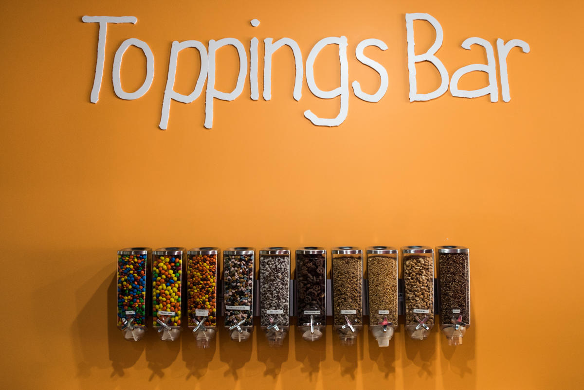 A comprehensive glance at the delights awaiting in Grand Rapids' frozen yogurt landscape.